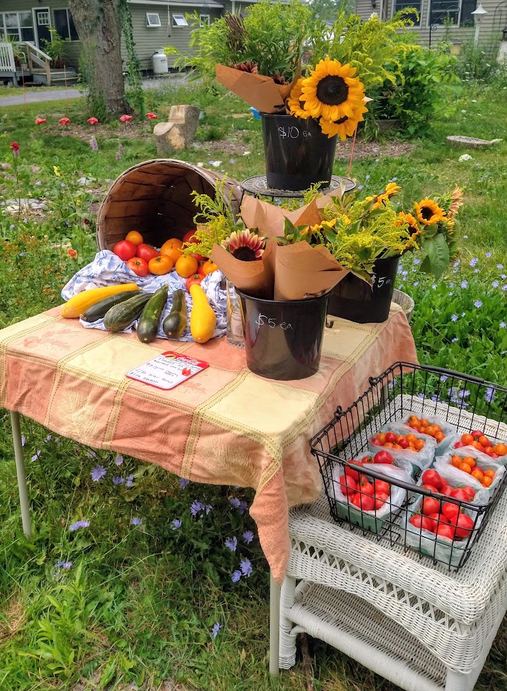 A pair of tables in the grass. The lower one contains eight pints of orange and red tomatoes, the other has several buckets of bouquets and sunflowers, zucchini, and tomatoes in a bushel basket