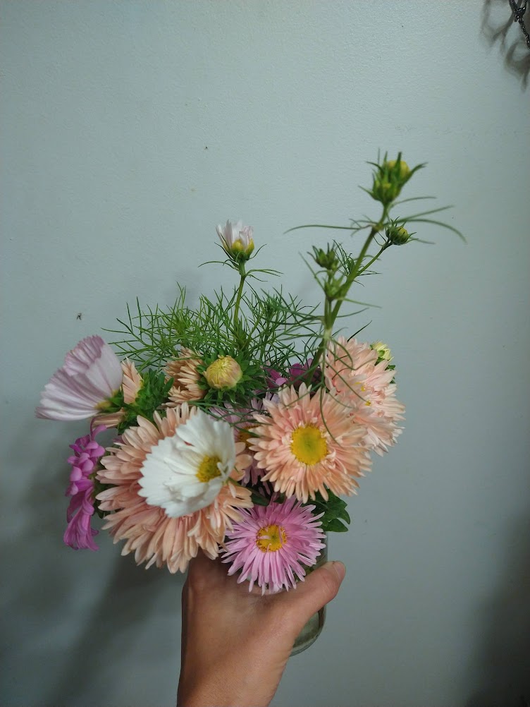 A small handheld bouquet of frilly aster flowers in pinks and salmon tones, with pink and white cosmos interspersed